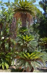 Photo Texture of Nature